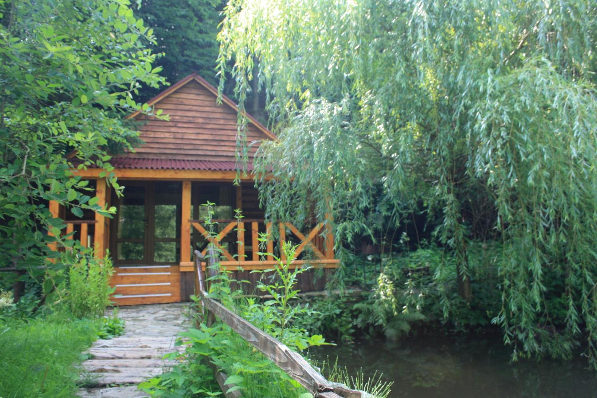 Zarinok Hotel Pilipets Bagian luar foto