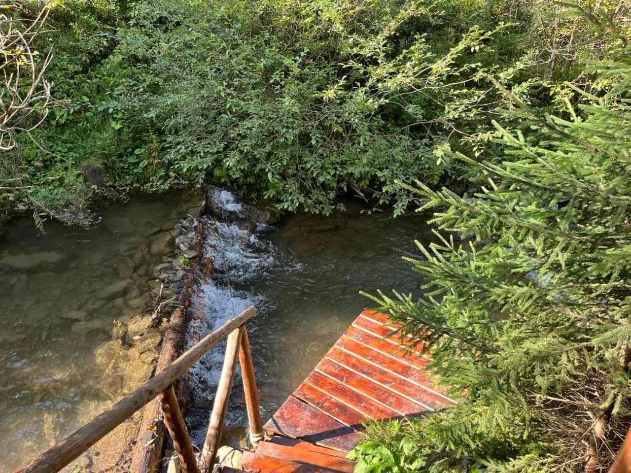 Zarinok Hotel Pilipets Bagian luar foto