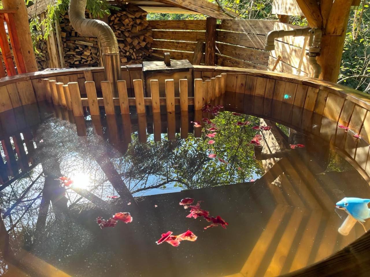 Zarinok Hotel Pilipets Bagian luar foto