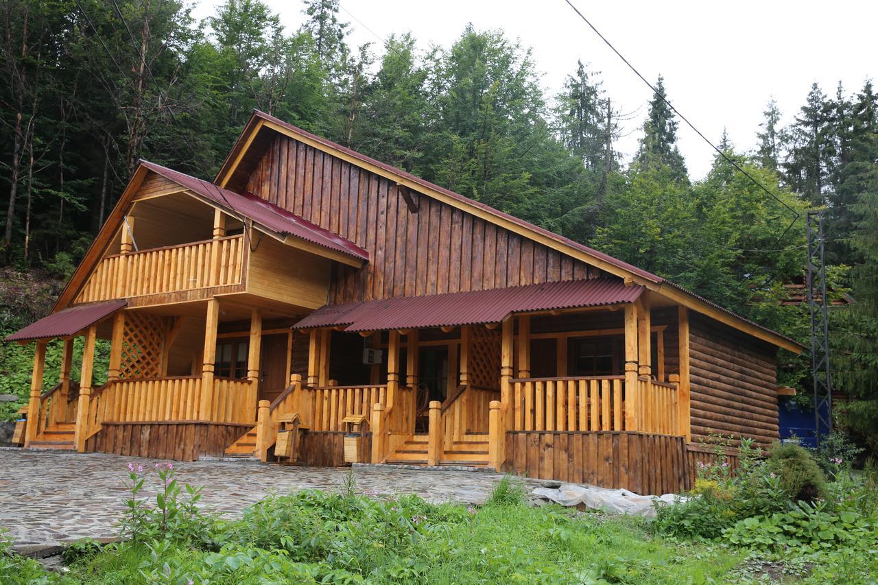 Zarinok Hotel Pilipets Bagian luar foto